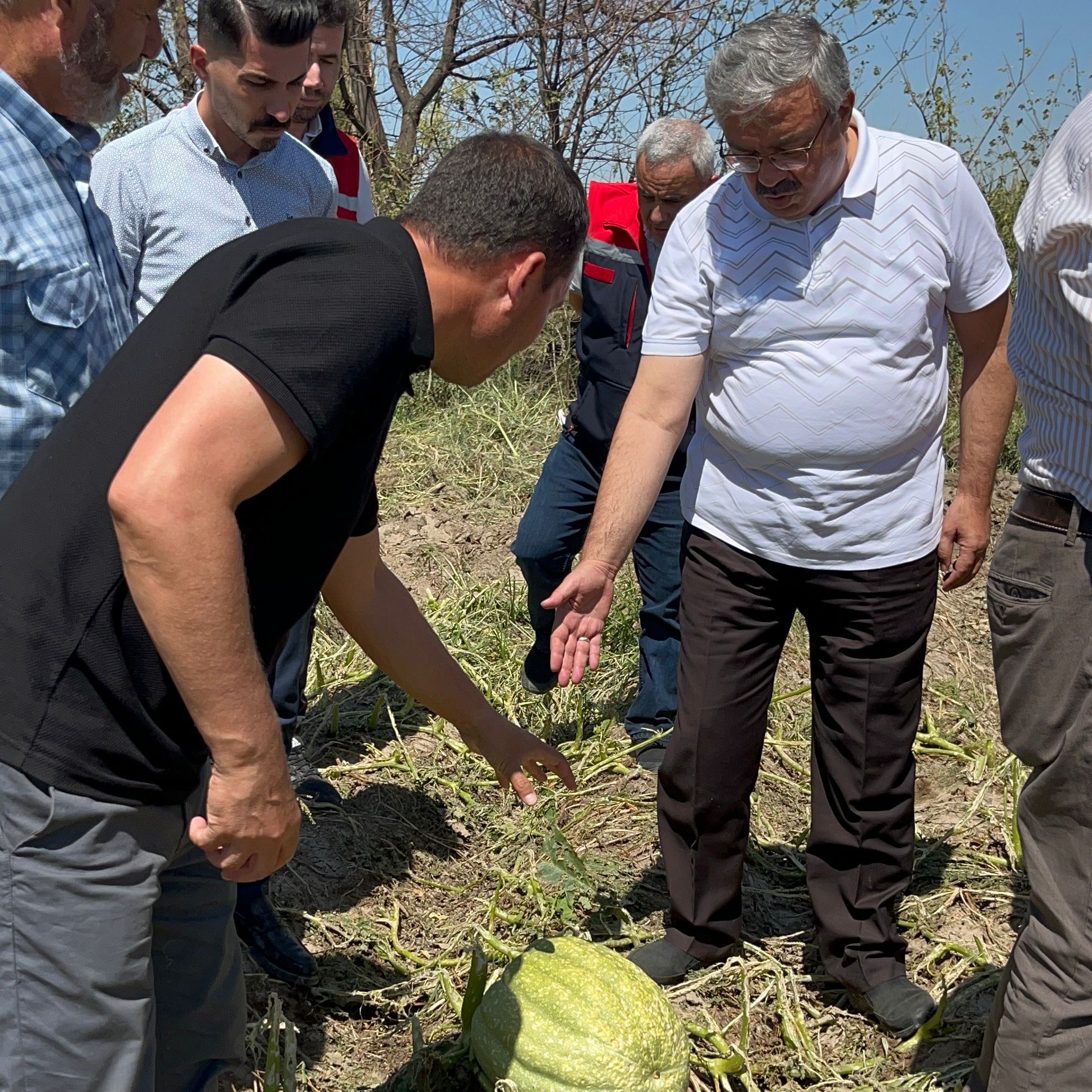 YURDUNUSEVEN ZARAR GÖREN TARIM ARAZİLERİNİ İNCELEDİ